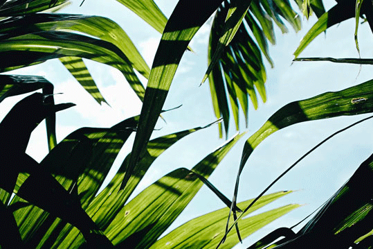 holiday-homes-for-sale-in-fl-for-real-estate-investing